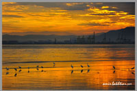 Penang