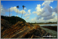 Pantai Pandak, Terengganu