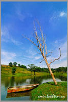 Serdang