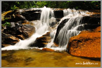 Hutan Lipur Kanching