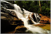 Hutan Lipur Kanching