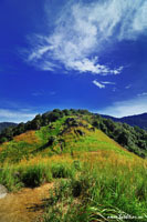 Selangor