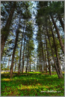 Terengganu