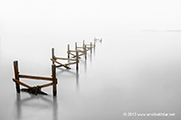 Single Exposure